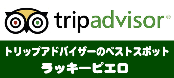 トリップアドバイザーのベストスポット