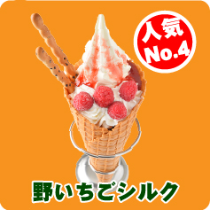 野イチゴシルク