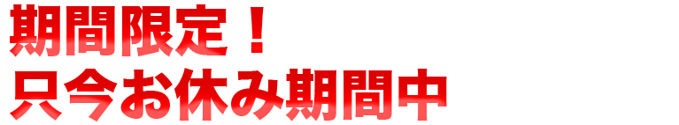 ホタテバーガー期間限定